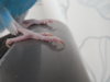 DSCN8675.JPG