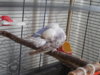 DSCN8664.JPG