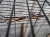 DSCN8667.JPG