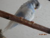 DSC01813.JPG