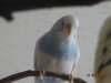 DSC01787.JPG