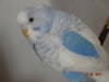 DSC01799.JPG