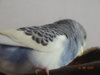DSC01812.JPG