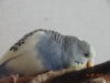 DSC01782.JPG