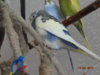 DSC01801.JPG
