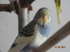 DSC01796.JPG
