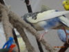 DSC01804.JPG