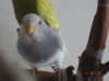 DSC01793.JPG