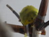 DSC01792.JPG