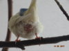 DSC01779.JPG