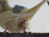 DSC01781.JPG