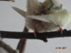 DSC01780.JPG