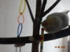 DSC01784.JPG