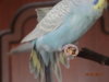 DSC01798.JPG
