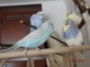DSC01800.JPG