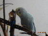 DSC01783.JPG