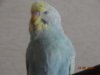 DSC01790.JPG