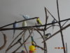 DSC01794.JPG