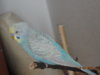 DSC01797.JPG