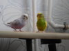 DSCN8702.JPG