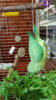 20170507_152059.jpg