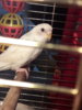 20170518_142847.jpg