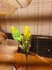IMG-20170518-WA0051.jpg