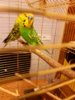 IMG-20170518-WA0050.jpg