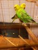 IMG-20170518-WA0048.jpg