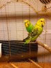 IMG-20170518-WA0043.jpg