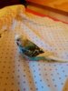 IMG-20170518-WA0033.jpg
