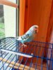 IMG-20170518-WA0030.jpg