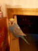 IMG-20170518-WA0032.jpg