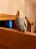 IMG-20170518-WA0025.jpg