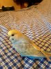 IMG-20170518-WA0015.jpg