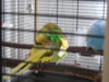 DSCN8761.JPG