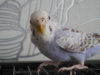 DSCN8766.JPG