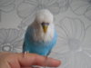 DSCN8782.JPG