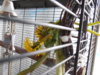 DSCN8798.JPG