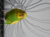 DSCN8807.JPG