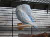 DSCN8819.JPG