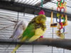DSCN8823.JPG