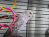 DSCN8818.JPG