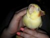 IMG-20170519-WA0045.jpg