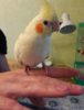 IMG-20170519-WA0015.jpg