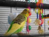 DSCN8842.JPG