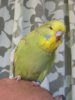 IMG_4876.JPG