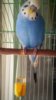 IMG_20160906_113516.jpg