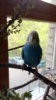 IMG_20170521_100931.jpg