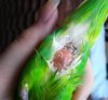 IMG_20170524_163159.jpg